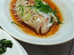 -同庆楼(花园店)