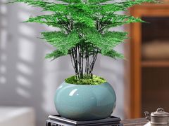 -志明眷村·台式融合菜·宵夜