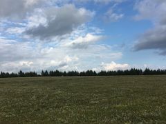 -空中草原