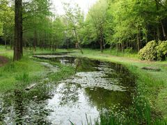 -上海滨江森林公园