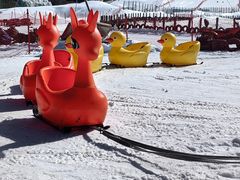 -太子岭滑雪场