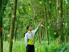 -金堂县云顶石城风景区