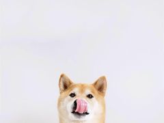 -草原塞蛮羊火锅城(港湾店)