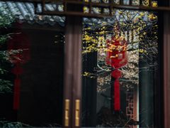-十八棵（老龙井）御茶园(老龙井店)