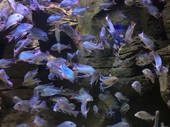 -成都浩海立方海洋公园