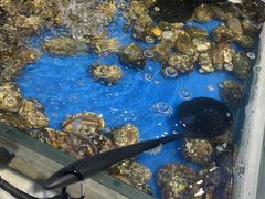 -川骄海鲜自助(河东店)