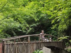 -青峰峡国家森林公园