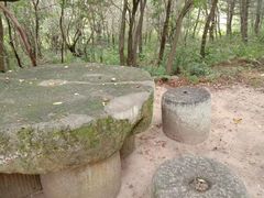 -青峰峡国家森林公园