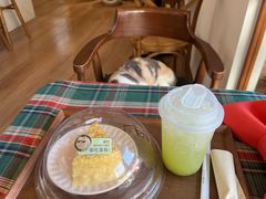 -有猫主题·治愈系猫咖(曾厝垵店)