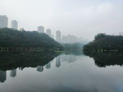-重庆彩云湖湿地公园