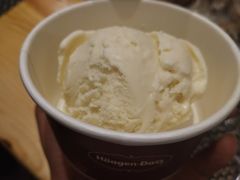 冰激凌哈根达斯-菊上料理(蜀山银泰百货店)