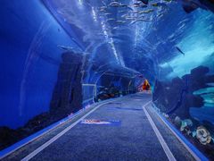 -成都浩海立方海洋公园