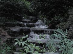 -中国茶叶博物馆(双峰馆区)