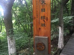 -天目湖山水园