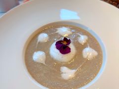 -百好乐宠物友好餐厅(朝外大街店)