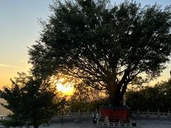 -高榜山景区