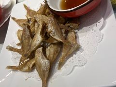 -阿巧一号私房菜(止园路店)