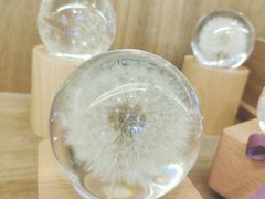 -方所(华润万象城店)