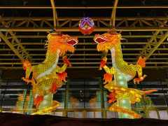 -武汉园博园(武汉自然博物馆)