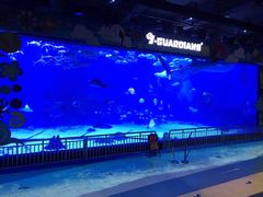 -烟台海昌鲸鲨海洋公园