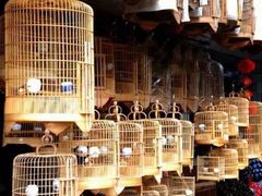 -龙大花卉苗木市场