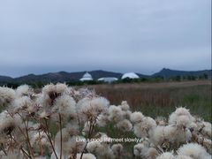 -敕勒川草原文化旅游区