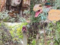 -呀路古热带植物园