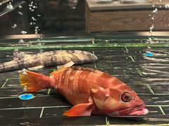 -新荣记(新源南路店)