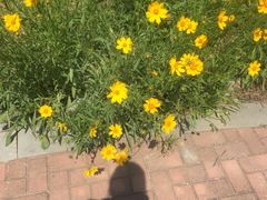 -河南财经政法大学(郑东校区)