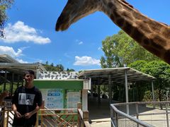 -泉州海丝野生动物世界