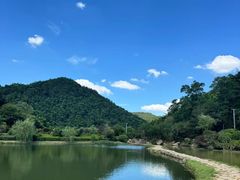 -桃花岭景区