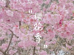 -南山植物园