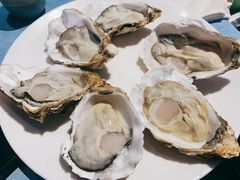 深海黄金蚝大个火锅-千岛蚝高压锅生蚝·人参火锅(白云万达店)