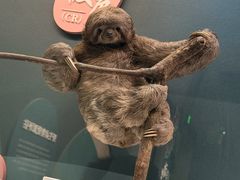 -国家自然博物馆