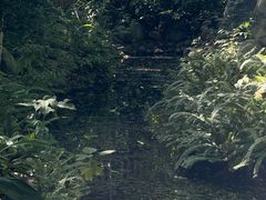 -成都市活水公园