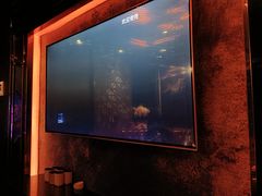 -萧邦音乐会所KTV(向西店)