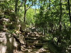 -大岭沟猕猴桃谷风景区