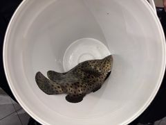 -海九澎湖海鲜餐厅