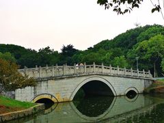 -太子山公园(园东路)