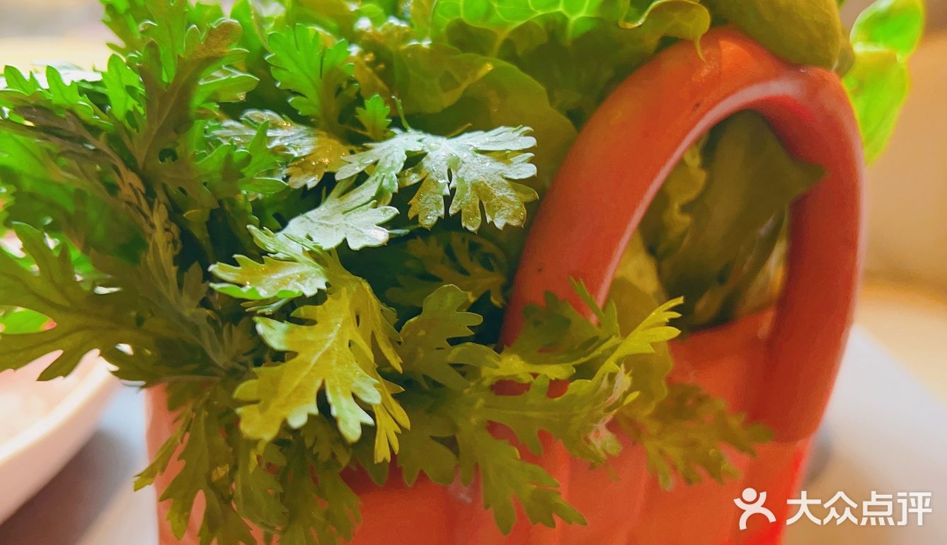 深海鱼火锅真是绝啦