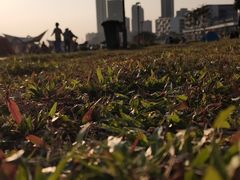 -坪山湿地公园