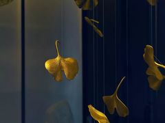-京华烟云·北京烤鸭(领展购物广场·中关村店)