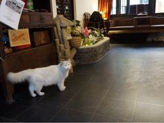 iphone_upload_pic-西塘明榉坊客栈