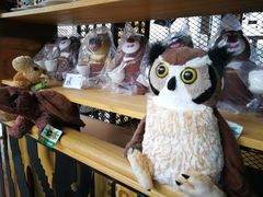 -ZOO COFFEE 动物园咖啡(亦庄店)