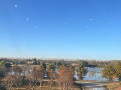 -上海海湾国家森林公园