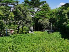 -白石龙音乐公园