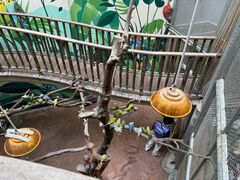 -正佳雨林生态植物园