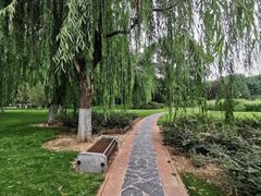 -中华世纪坛-停车场