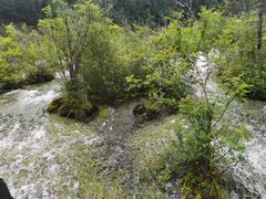 -叠溪松坪沟景区