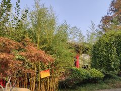 -竹子庵公园